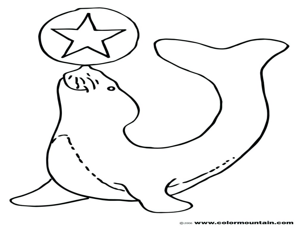 1024x768 Coloring Pages Seal Coloring Pages Elephant Page Books Navy Seal