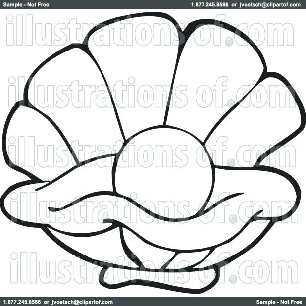 618x618 Clam Coloring Page Marine Coloring Page Ocean Life Coloring Pages