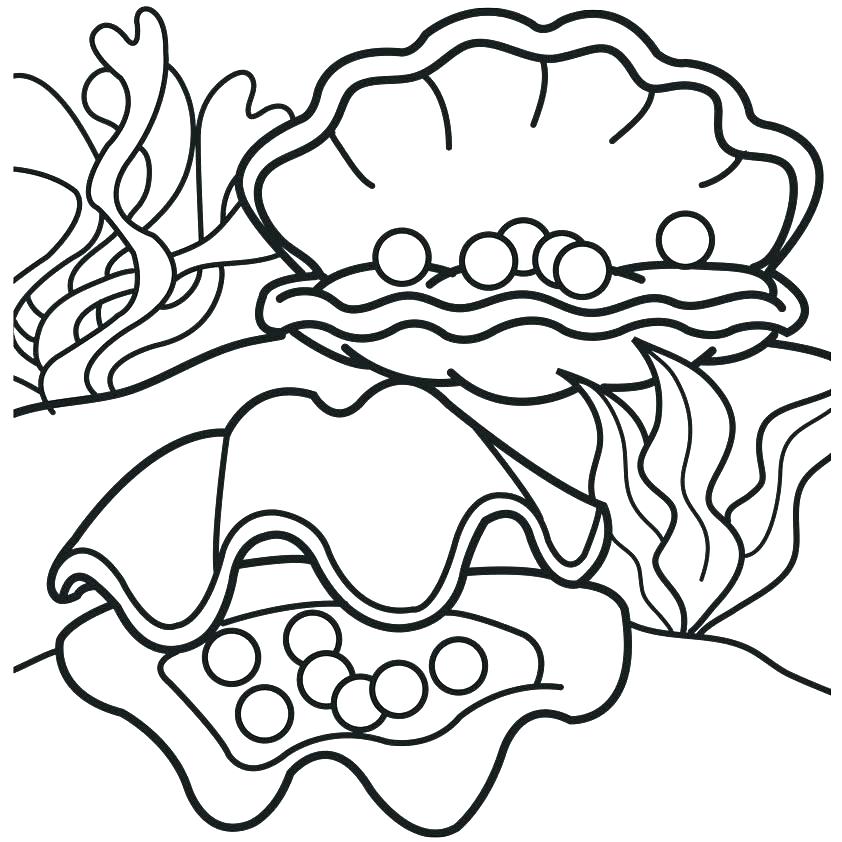 842x842 Clam Coloring Pages For Toddlers