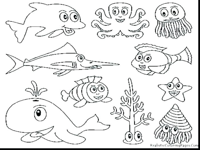 700x525 Marine Coloring Page Marine Coloring Pages Clam Coloring Page