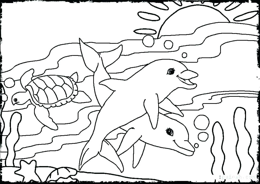 1024x728 Clam Coloring Page