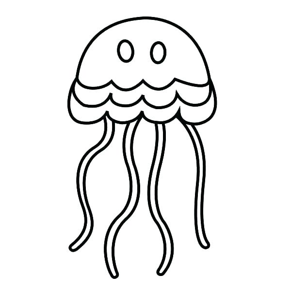 600x600 Jellyfish Color Pages Jellyfish Coloring Page Realistic Jellyfish