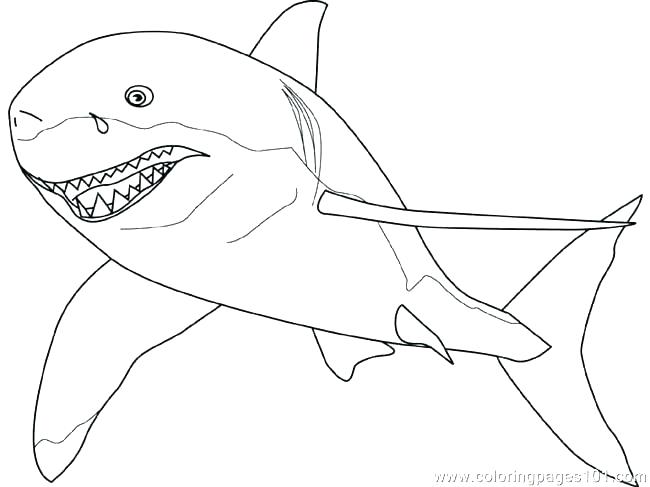 650x487 Hammerhead Shark Coloring Page Shark Color Page Coloring Pages