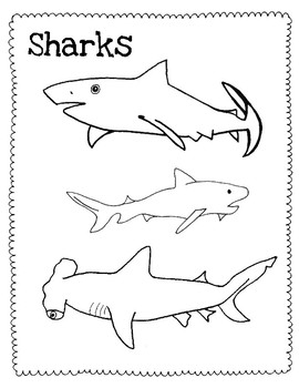 270x350 Shark Coloring Pages Teaching Resources Teachers Pay Teachers