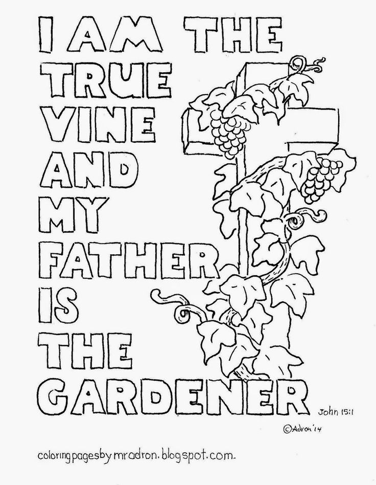 736x948 I Am The Vine Coloring Page Az Pages Bible Class