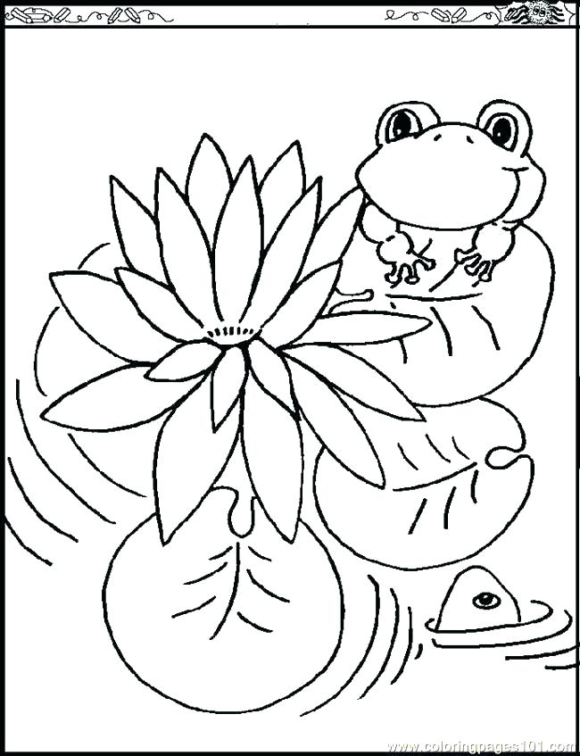 650x847 Free Claude Monet Coloring Pages
