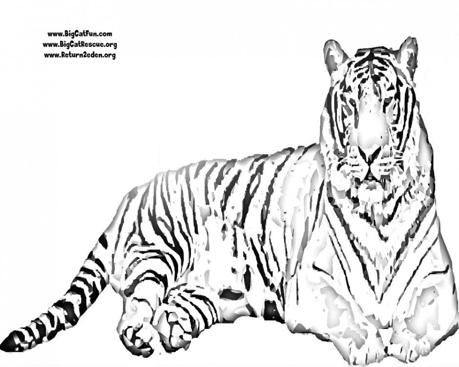 940x752 Tigers Coloring Pages Tiger Coloring Pages To Print Clemson