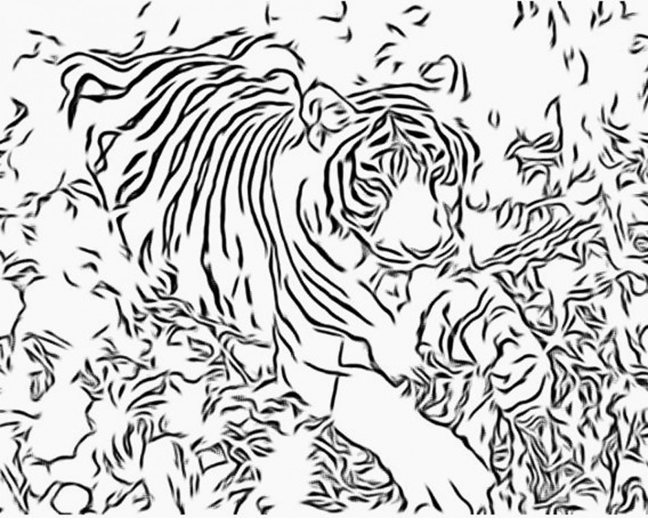 940x752 Clemson Coloring Sheets
