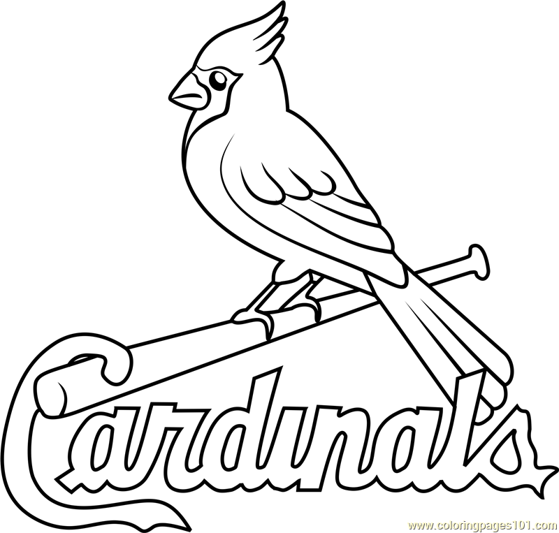 800x763 St Louis Cardinals Logo Coloring Page