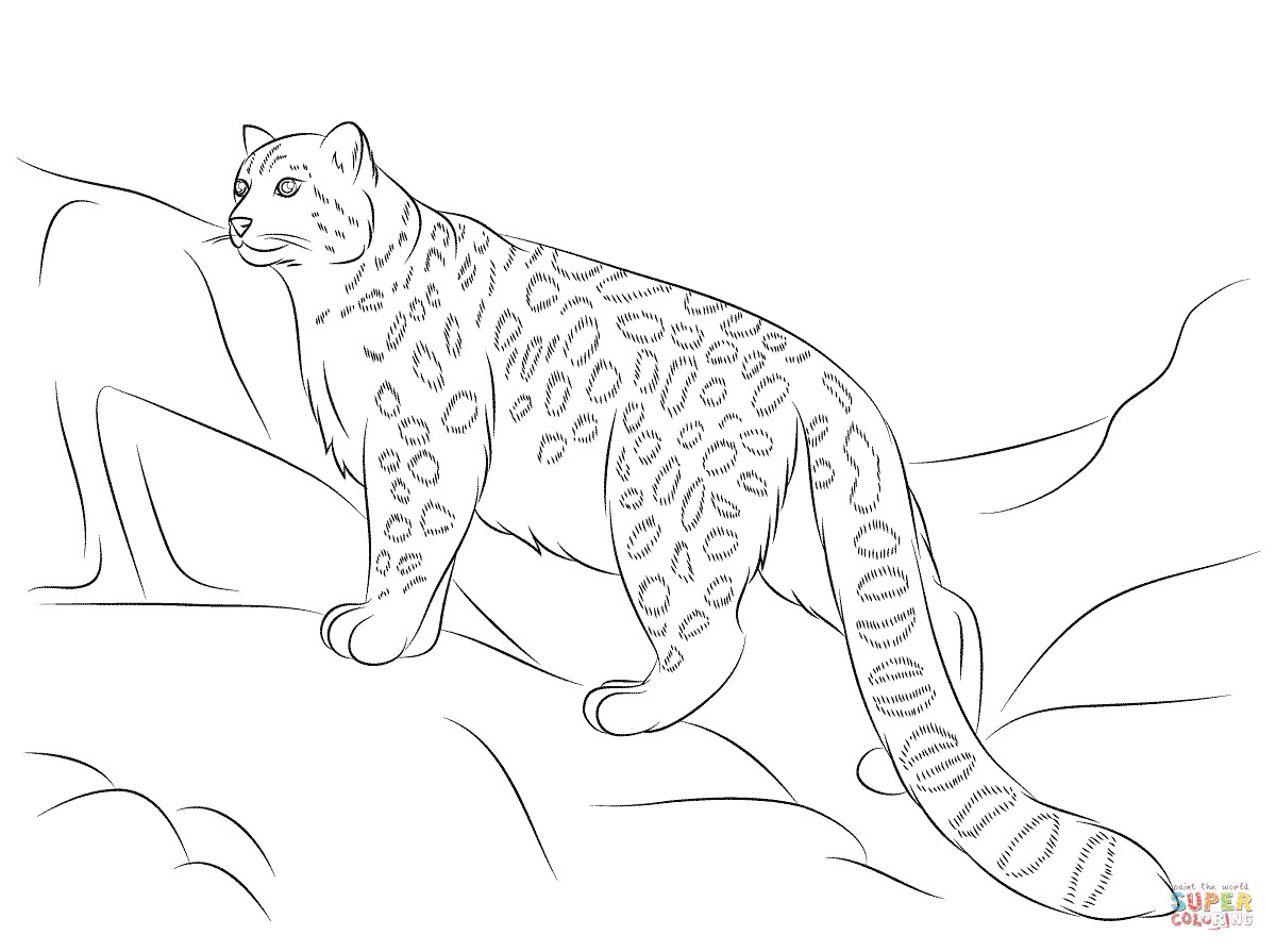 1200x895 Leopards Coloring Pages Free Tearing Snow Leopard