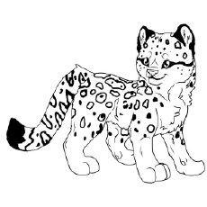 230x230 Snow Leopard Coloring Pages For Kids And Adults Snow Leopard