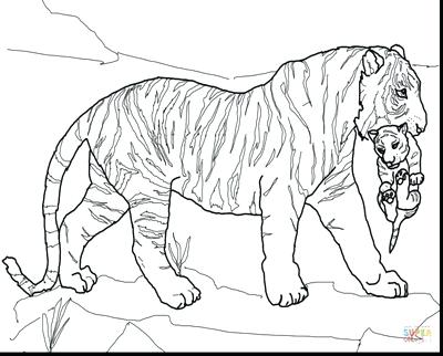 400x322 Siberian Tiger Coloring Page