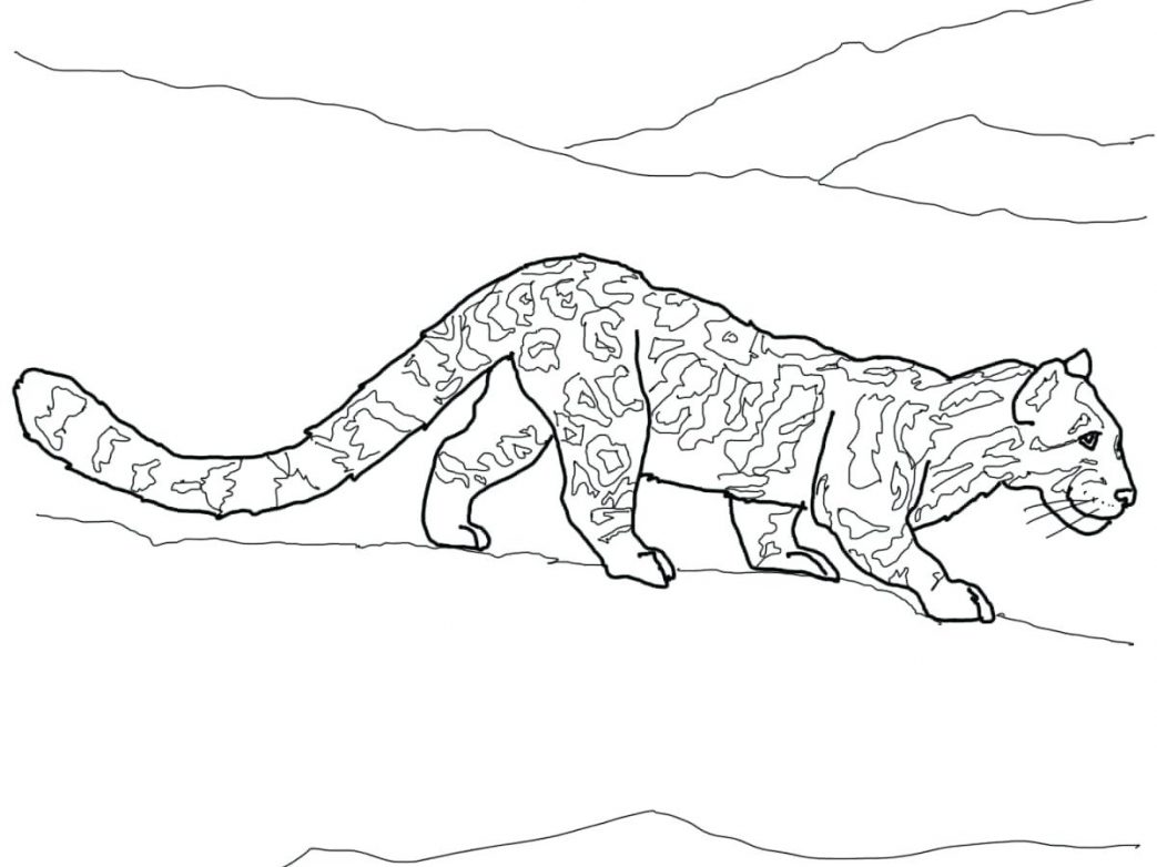 1043x782 Cheetah Coloring Pages Pdf Cool The Sun Flower Awesome Page Photo