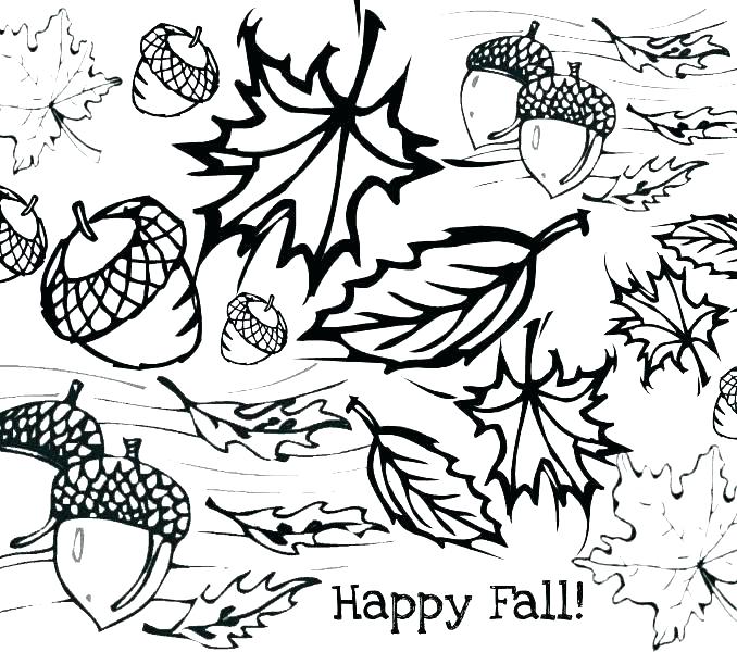 678x600 Clover Leaf Coloring Page Leaf Coloring Pages Printable Leaves
