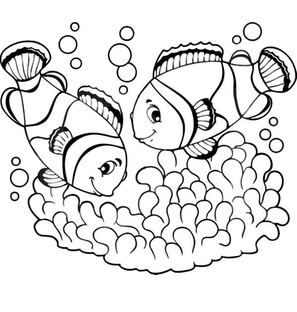 600x630 Clown Fish Couple Mating Coloring Pages Best Place To Color
