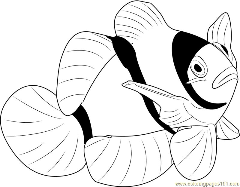 800x622 Clown Water Fish Coloring Page