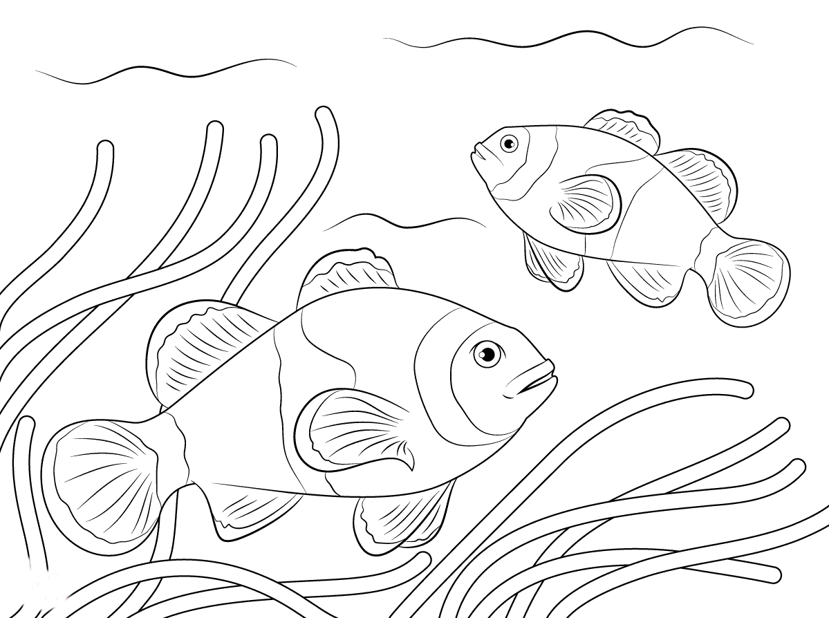 1199x894 Unique Clown Fish Page To Color Collection Printable Coloring Sheet