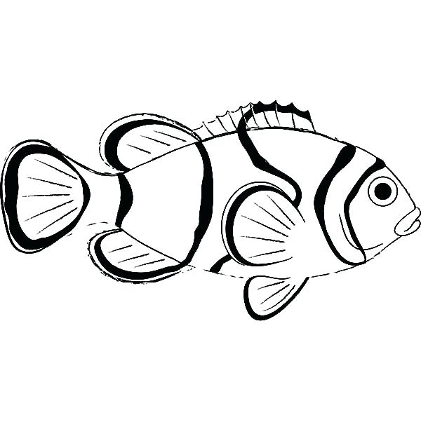 600x612 Coloring Clown Fish Coloring Pages Sea Animal Colouring Clown
