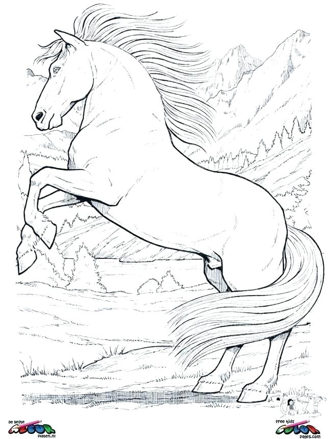 645x860 Horses Coloring Pages Wild Horse In Running Page Clydesdale