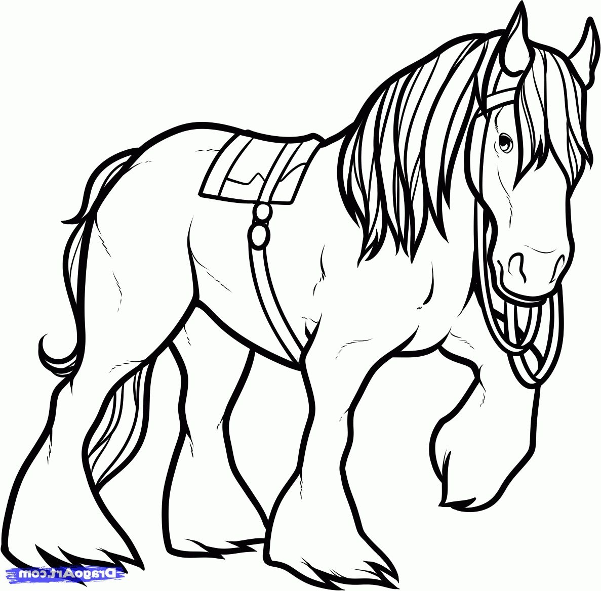 1187x1168 Shire Horse Coloring Pages Clydesdale Coloring Pages Gallery