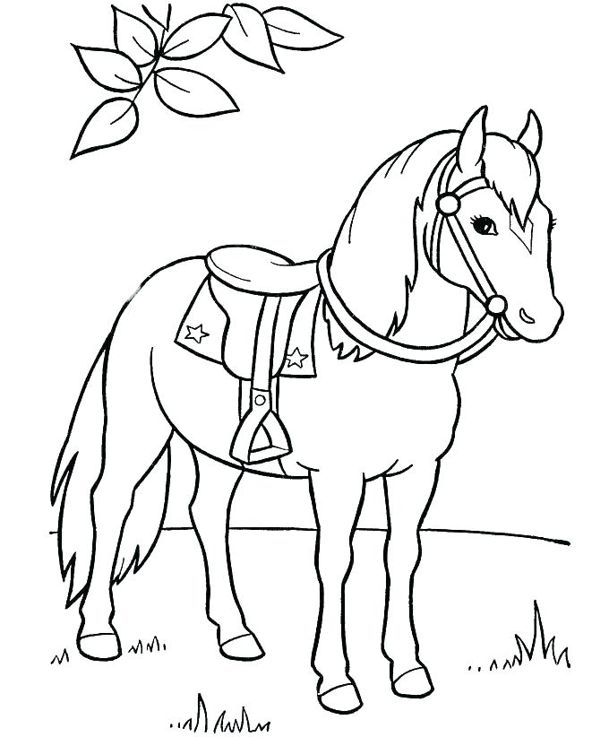 Clydesdale Horse Coloring Pages
