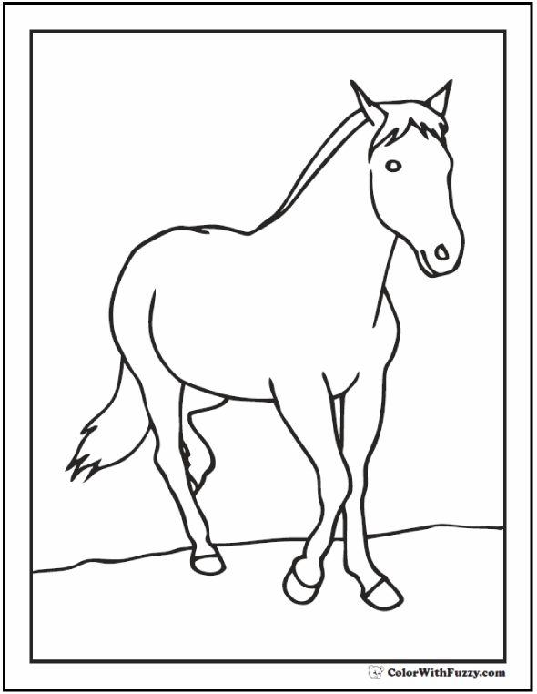 590x762 Horse Coloring Page Riding, Showing, Galloping