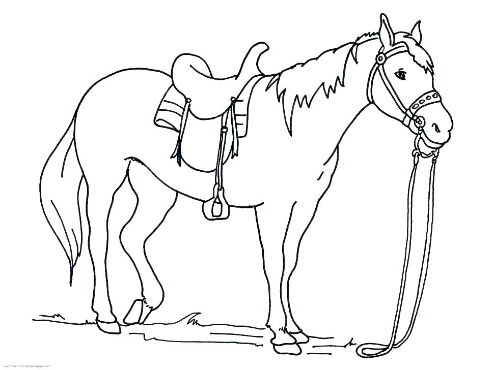 970x728 Horse Coloring Pages To Print Mustang Horse Coloring Pages Horses