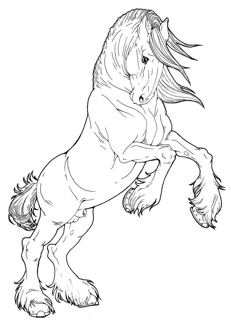 736x1045 Resultado De Imagen Para Horse Coloring Pages Printable Ideas