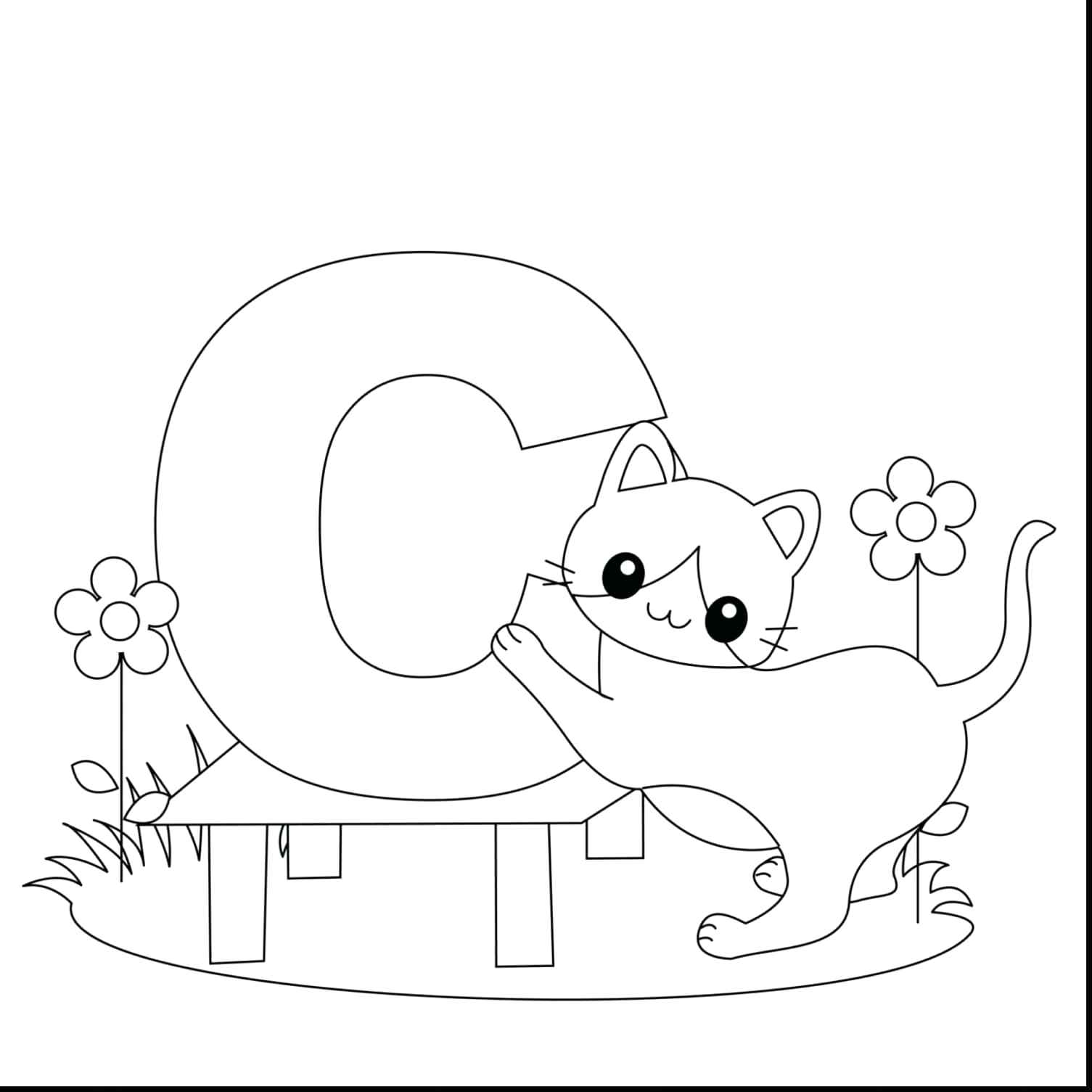 1505x1505 Coast Guard Coloring Pages For Kids
