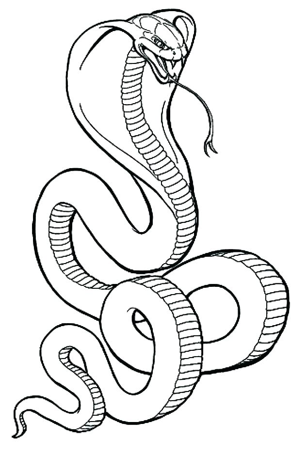 600x937 Coloring Pages Snakes Snake Coloring Page Coloring Pages Snakes
