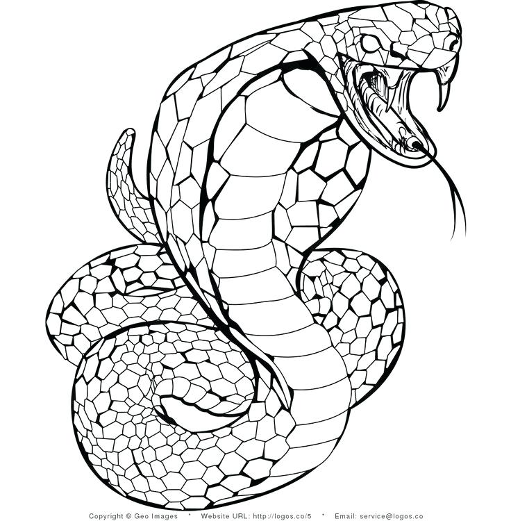 736x750 King Cobra Coloring Pages Coloring Pages Snake Kids Coloring Books