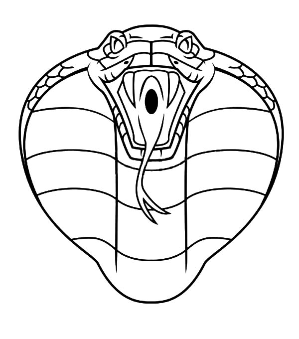 600x680 King Cobra Coloring Sheet Wild Life Pages Kids Play Color