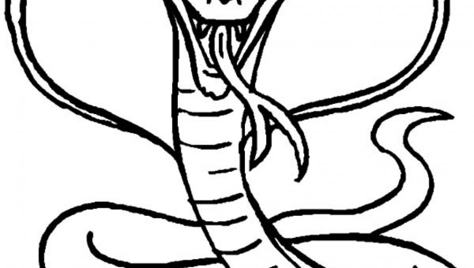 960x544 Coloring Cobra Pages For Toodler Printable Free Page Animals Ac