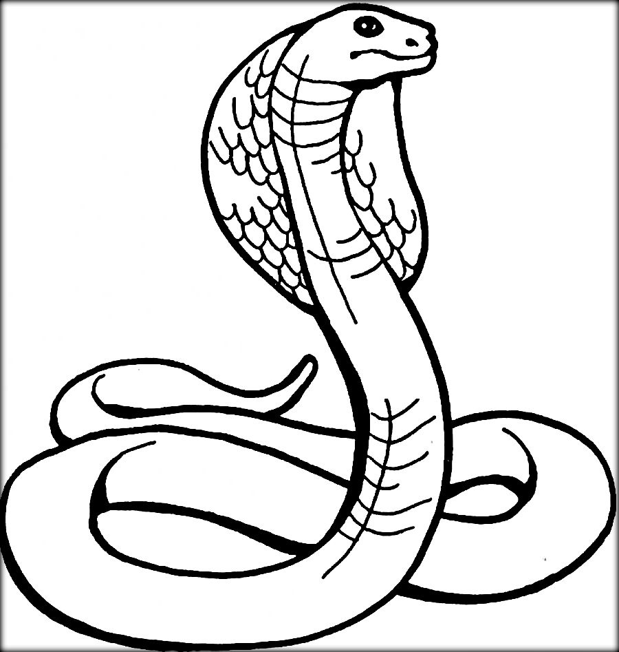 900x947 Best Wild Reptiles Snake Coloring Pages