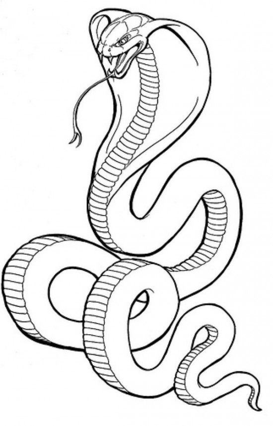 550x858 Cobra Snake Coloring Pages Picture Picture Tattoos I