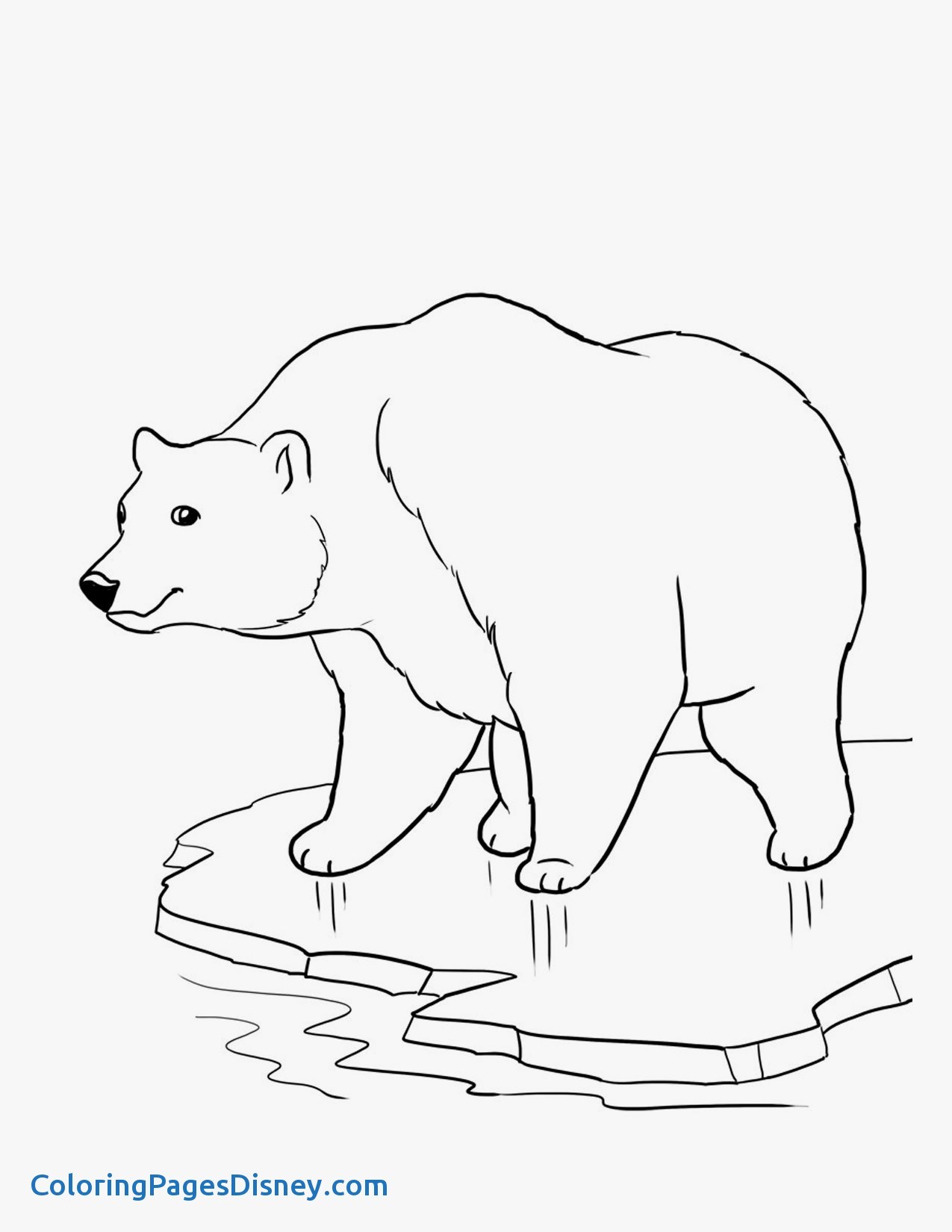 1275x1650 Polar Bears Coloring Pages Luxury Winter Polar Bear Coloring Pages