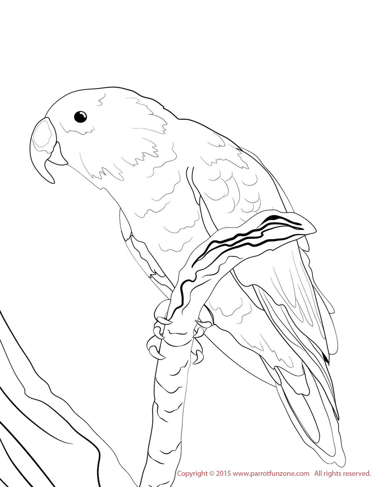 1275x1650 Coloring Pages