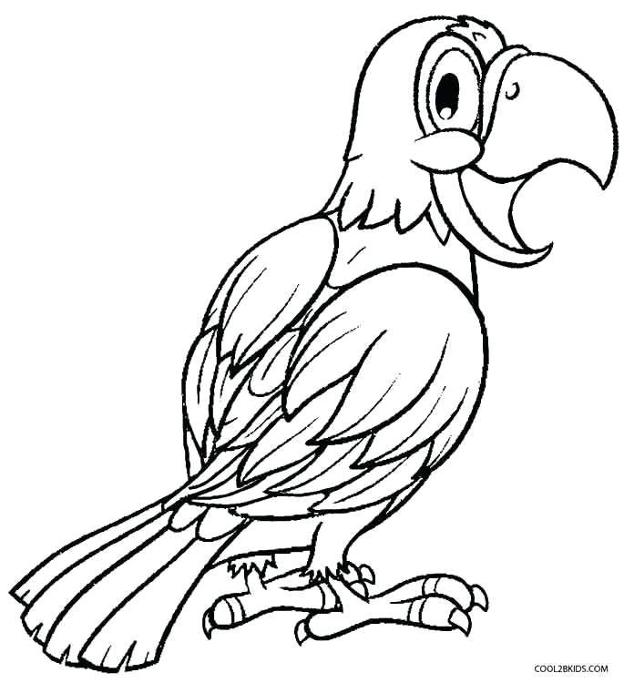 Cockatiel Coloring Page at GetDrawings | Free download