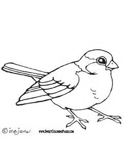 240x300 Bird Colouring Pages