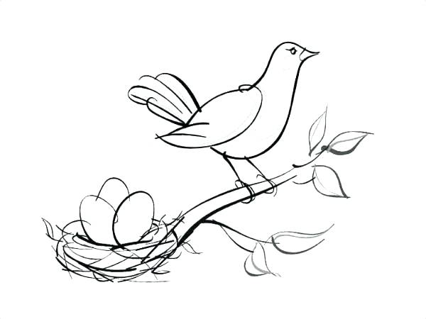 600x450 Cockatiel Bird Coloring Pages Robin Sheets Free Printable Angry