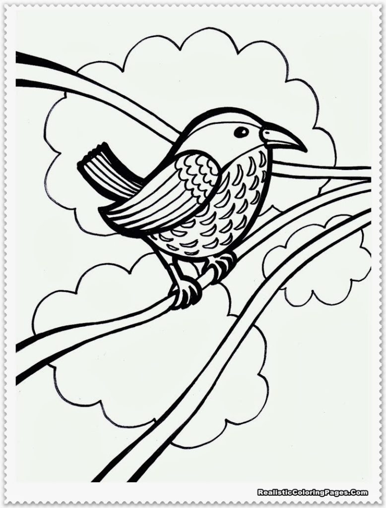 778x1024 Cockatoo Coloring Pages Funny Cockatoo Coloring Pages For Cockatoo