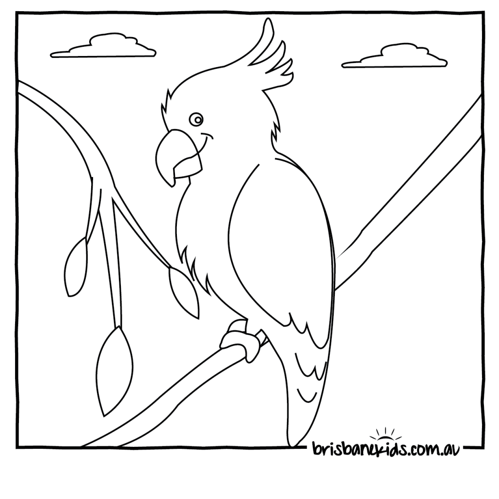 1024x1024 Coloring Pages Cockatoo Birds Easy For Kids And Toddler Impressive