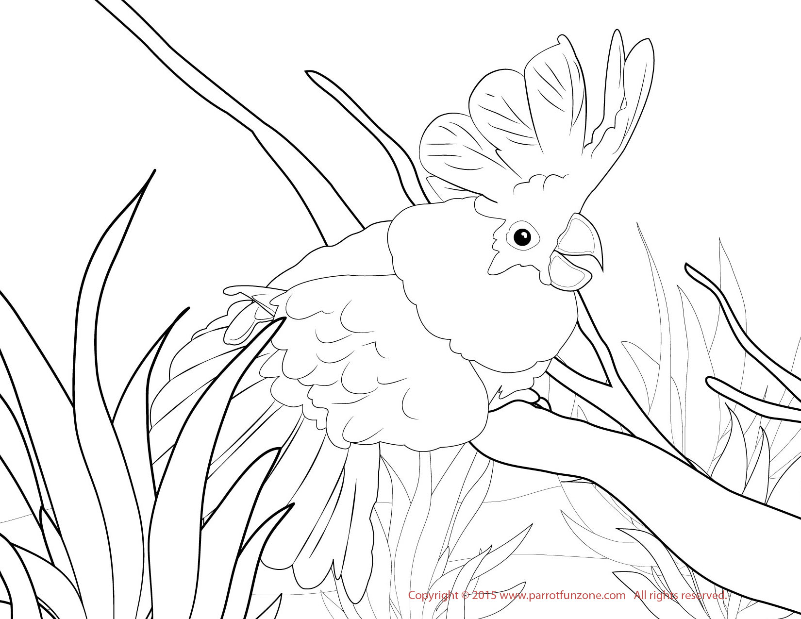 1650x1275 Coloring Pages