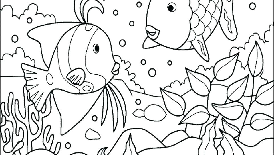 960x544 Australian Animal Coloring Pages Cockatoo Colouring Page