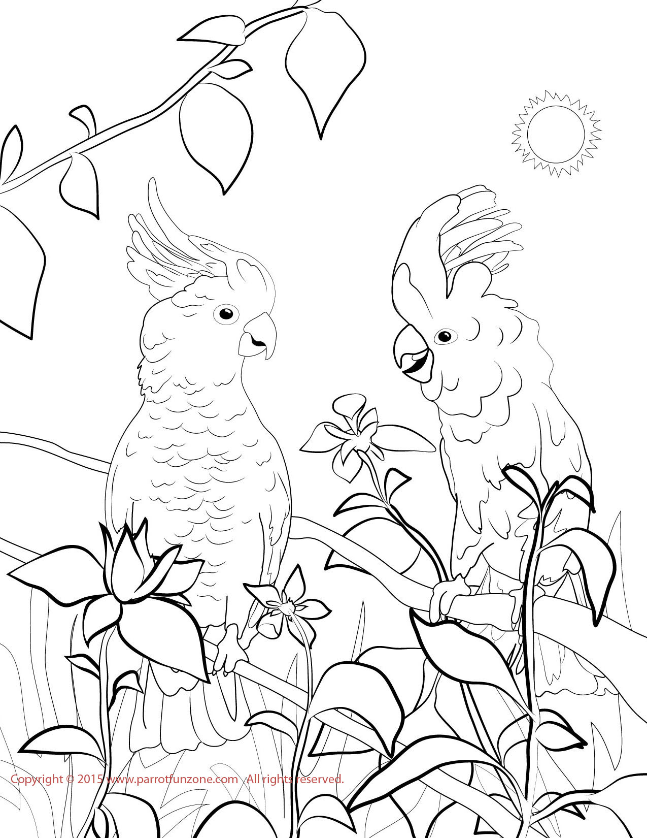 1275x1650 Cockatoo Coloring Page