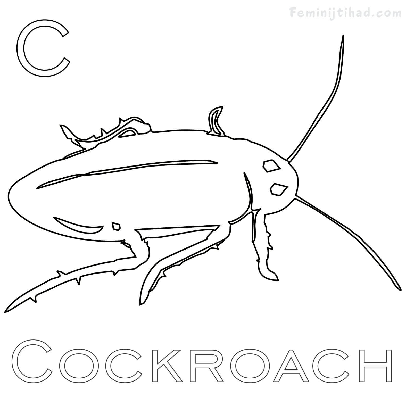 Cockroach Coloring Page at GetDrawings | Free download