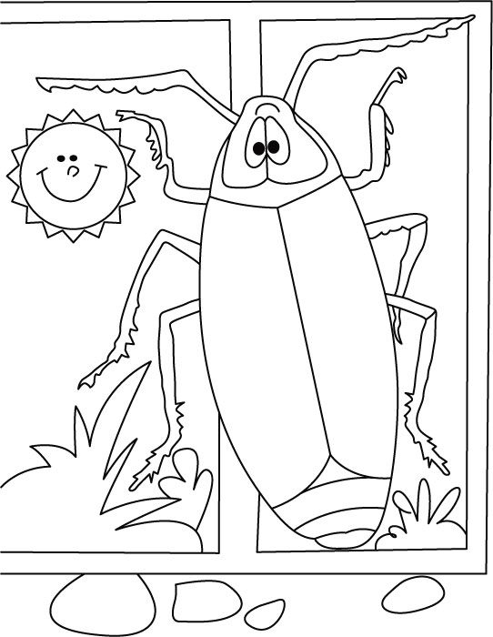 542x700 Free Printable Cockroach Coloring Pages For Kids