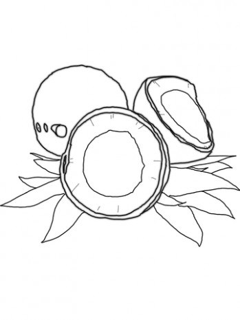 349x465 Coconut Coloring Page Free Printable Coloring Pages