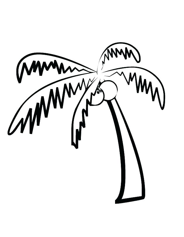 630x810 Palm Tree Coloring Pages Coconut Tree Coloring Page Palm Tree