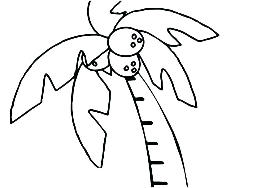 827x609 Coconut Tree Coloring Page